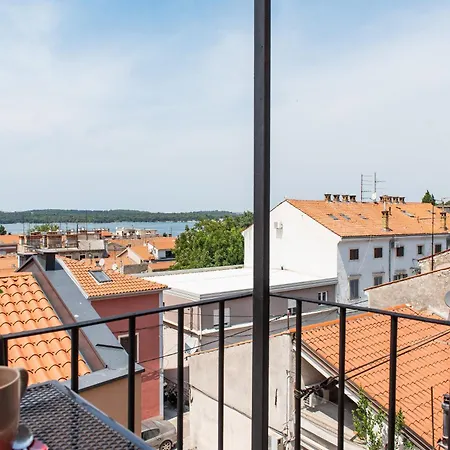Focus شقة
